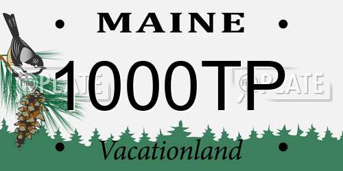 1000TP Maine License Plate