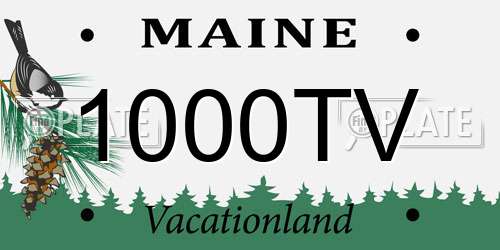 1000TV Maine License Plate