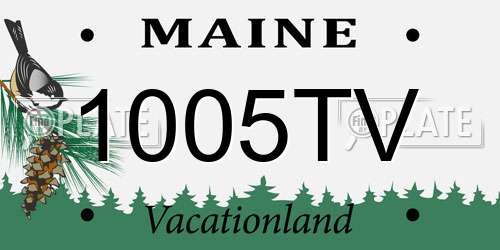 1005TV Maine License Plate