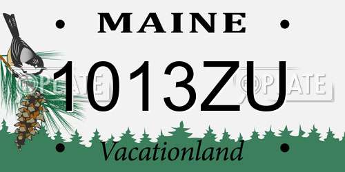 1013ZU Maine License Plate