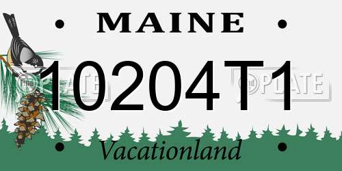 10204T1 Maine License Plate