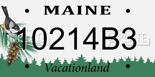 10214B3 Maine License Plate