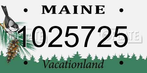 1025725 Maine License Plate