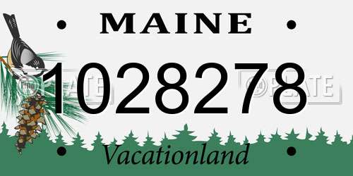 1028278 Maine License Plate