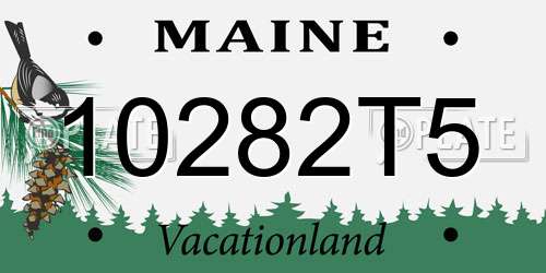 10282T5 Maine License Plate