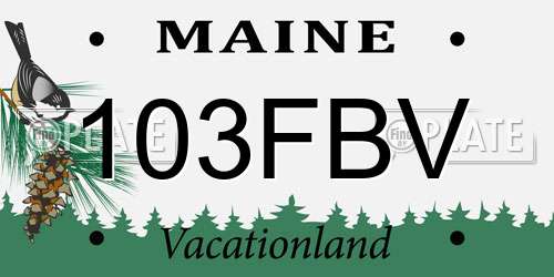 103FBV Maine License Plate