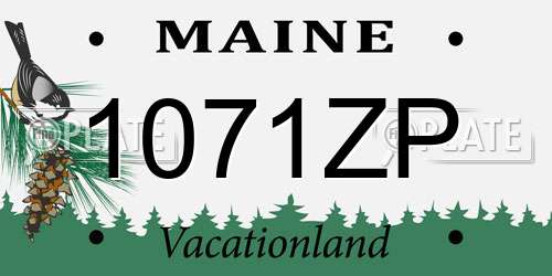1071ZP Maine License Plate