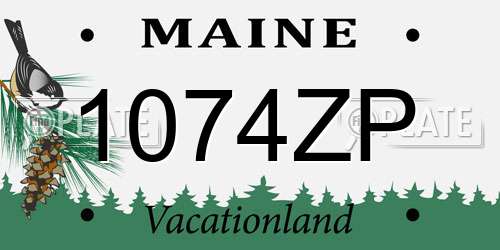1074ZP Maine License Plate