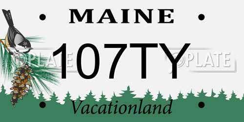107TY Maine License Plate