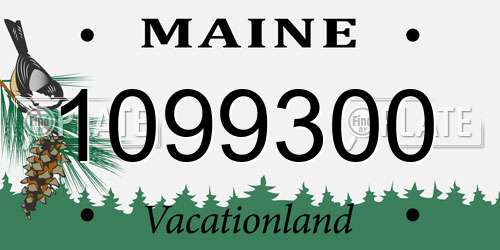 1099300 Maine License Plate