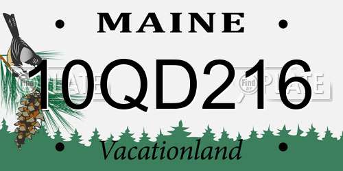 10QD216 Maine License Plate