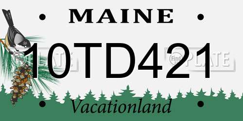 10TD421 Maine License Plate