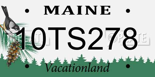 10TS278 Maine License Plate