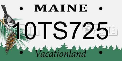 10TS725 Maine License Plate