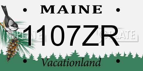 1107ZR Maine License Plate