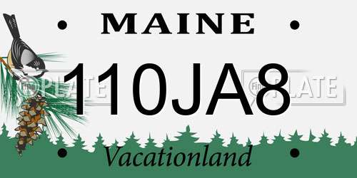 110JA8 Maine License Plate