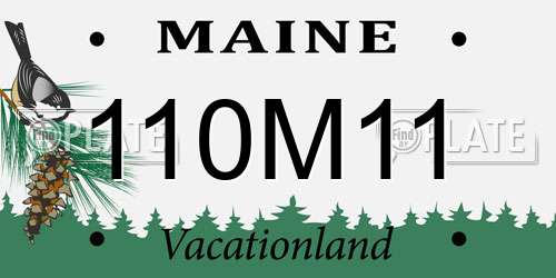 110M11 Maine License Plate