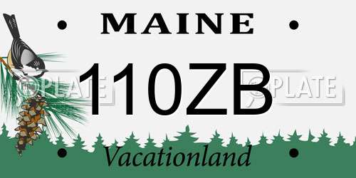 110ZB Maine License Plate