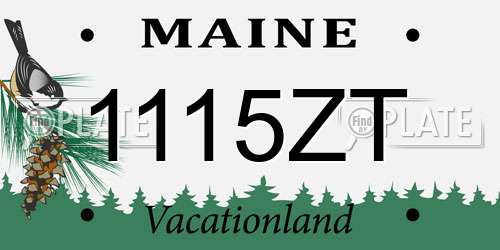 1115ZT Maine License Plate