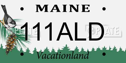 111ALD Maine License Plate