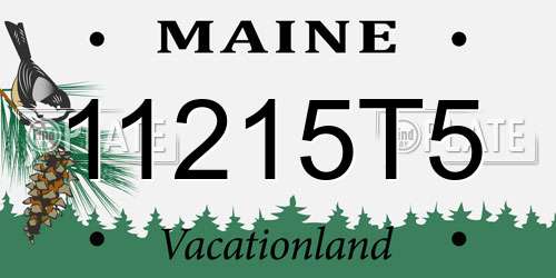 11215T5 Maine License Plate