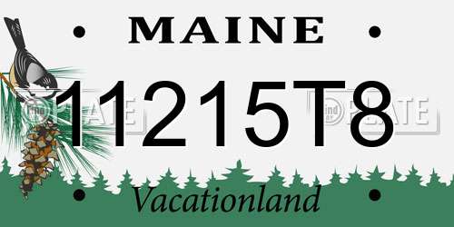 11215T8 Maine License Plate