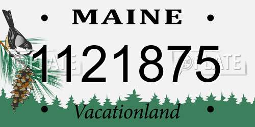 1121875 Maine License Plate