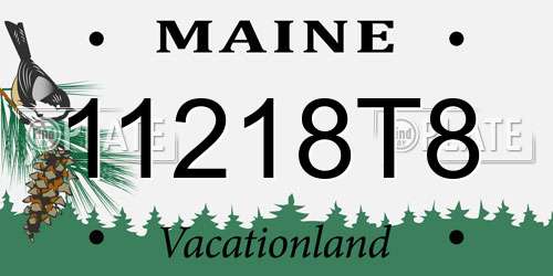 11218T8 Maine License Plate