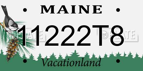 11222T8 Maine License Plate