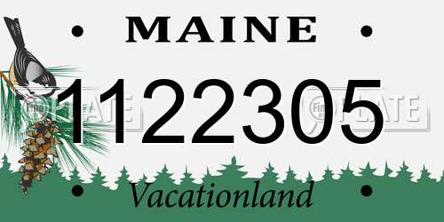 1122305 Maine License Plate