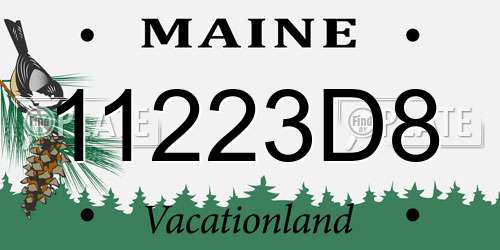 11223D8 Maine License Plate