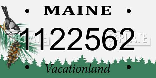 1122562 Maine License Plate