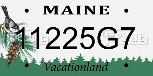 11225G7 Maine License Plate