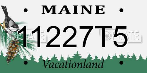 11227T5 Maine License Plate
