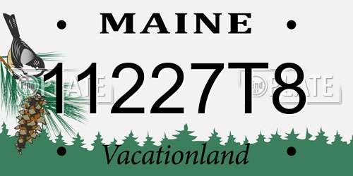 11227T8 Maine License Plate