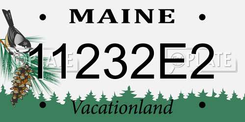 11232E2 Maine License Plate