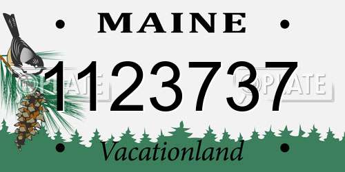 1123737 Maine License Plate