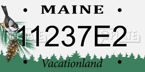 11237E2 Maine License Plate