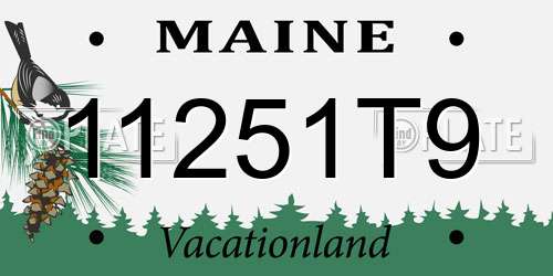 11251T9 Maine License Plate
