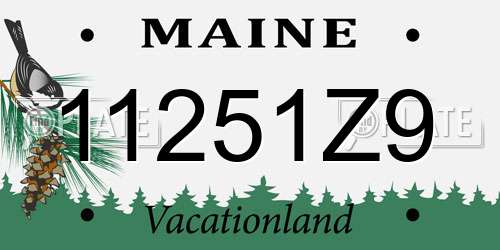 11251Z9 Maine License Plate