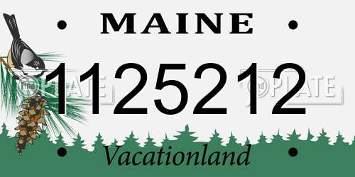 1125212 Maine License Plate
