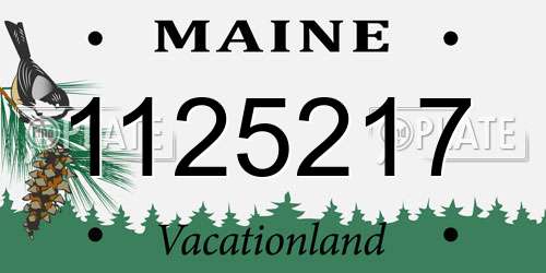 1125217 Maine License Plate