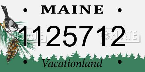 1125712 Maine License Plate