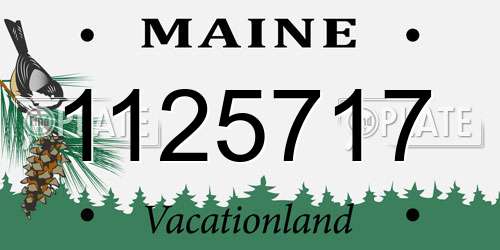 1125717 Maine License Plate