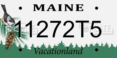 11272T5 Maine License Plate