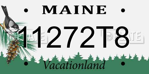 11272T8 Maine License Plate