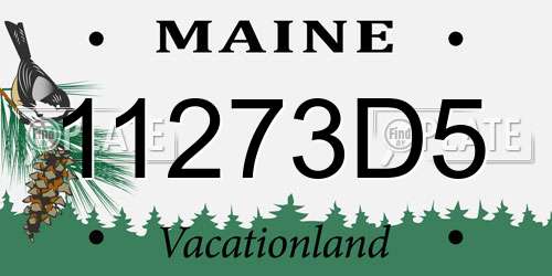 11273D5 Maine License Plate