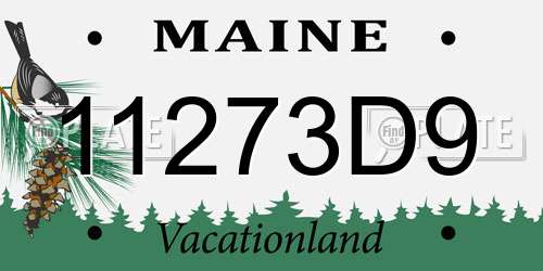 11273D9 Maine License Plate