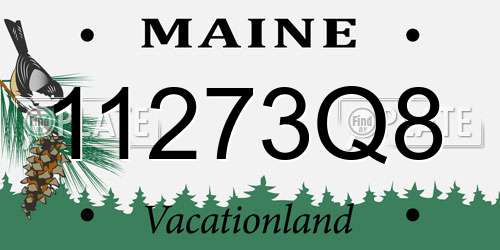 11273Q8 Maine License Plate