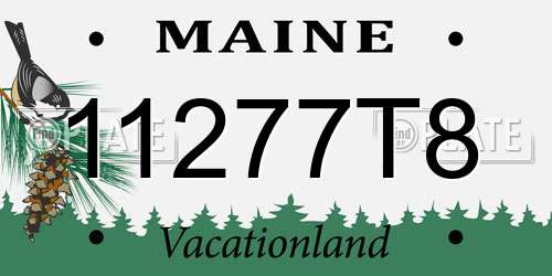11277T8 Maine License Plate